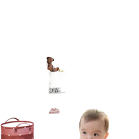 WiFi Wireless Remote Video Baby Monitor